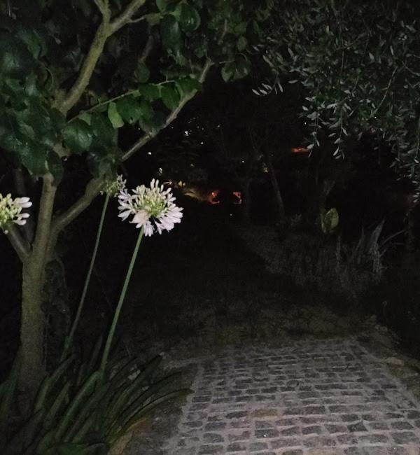 Crasto Payva Douro Nature