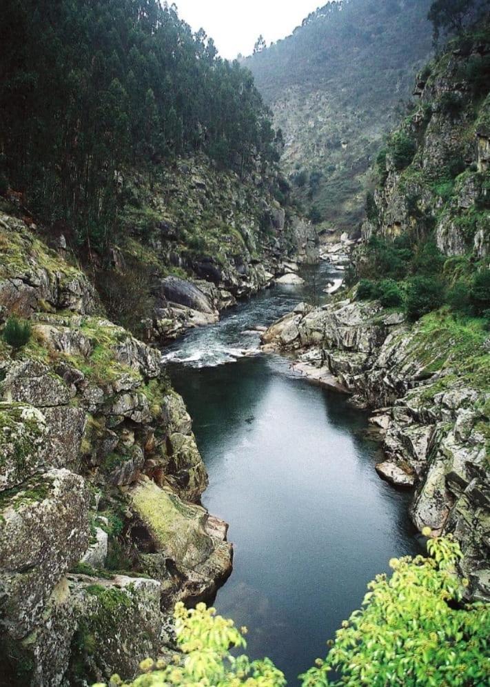 Séjour à la ferme Crasto Payva Douro Nature Castelo de Paiva